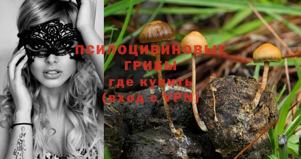 каннабис Верхний Тагил