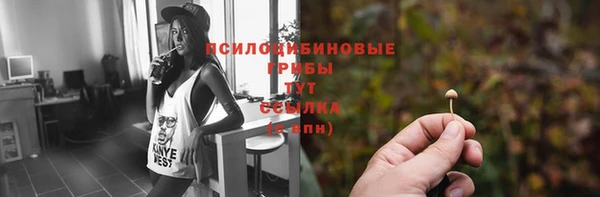 MDMA Premium VHQ Верхнеуральск