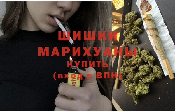 гидра Верея