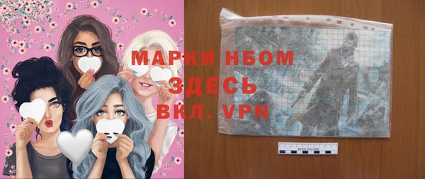 гидра Верея